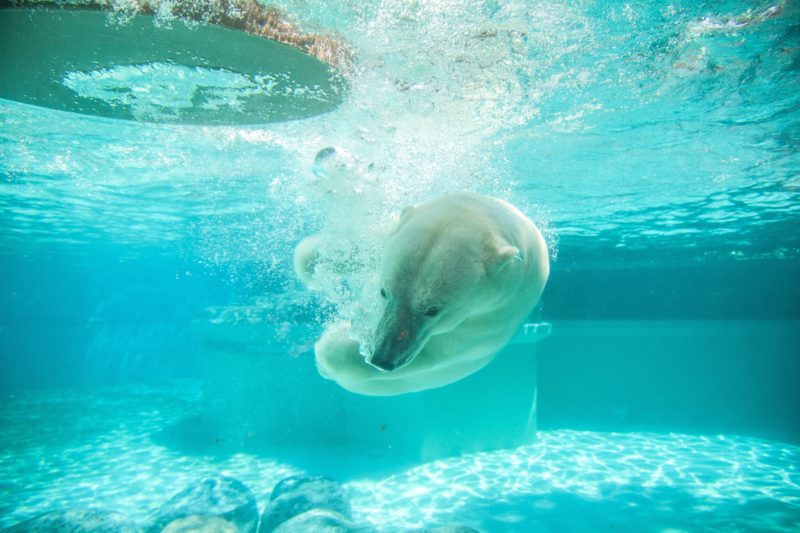 プールが寒いと感じるあなた 海でも使える超おすすめの防寒対策 トリペディア